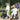 VOCIC Z51 Shift Combo 2-in-1 Rollator und Transportstuhl für Senioren mit klappbarer Bauweise und bequemer Sitzfläche